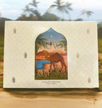 Organic Assorted Chocolate Dates (370g)